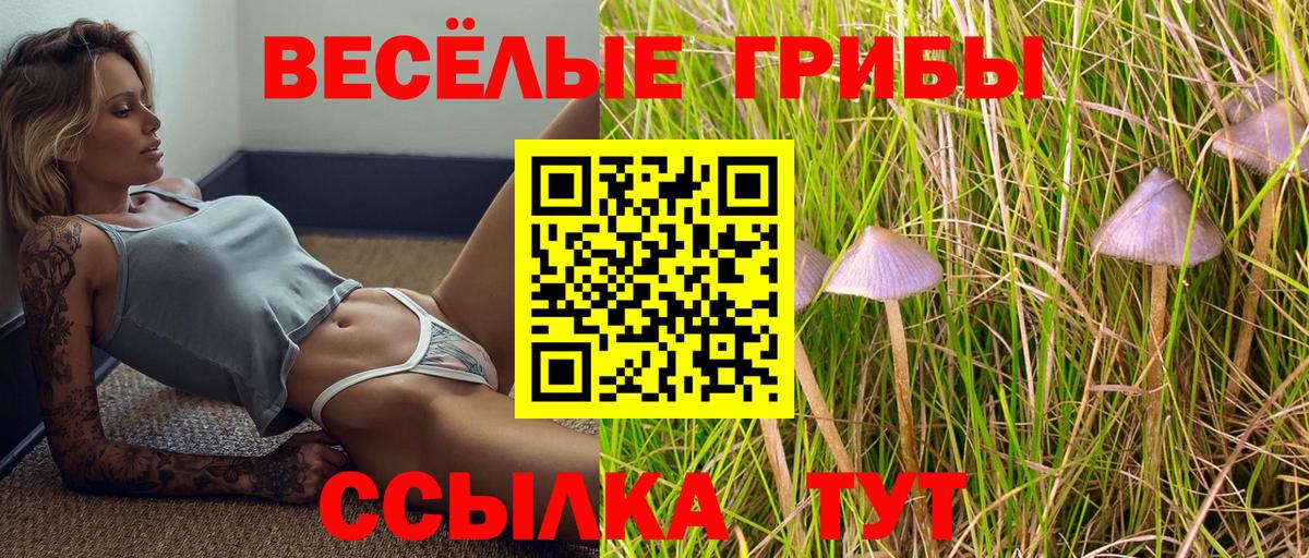 Псилоцибиновые грибы GOLDEN TEACHER Глазов